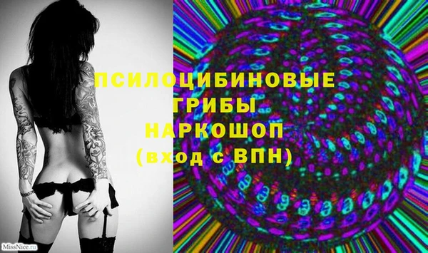 меф Богородицк