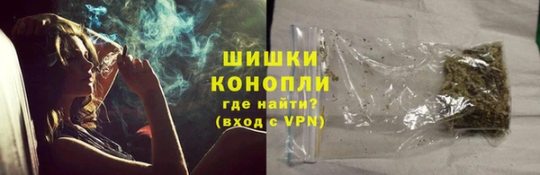 стафф Богородск