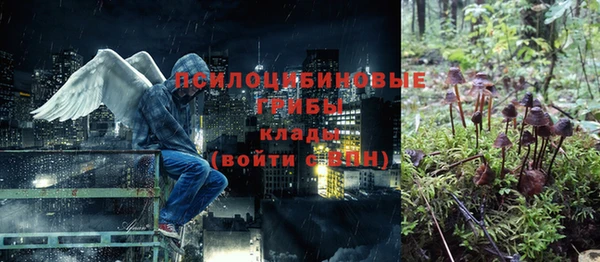 стаф Богданович
