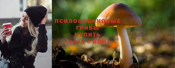стаф Богданович