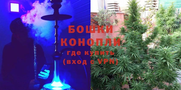 стаф Богданович