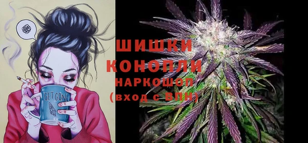 стафф Богородск