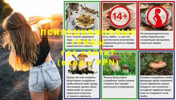 стаф Богданович