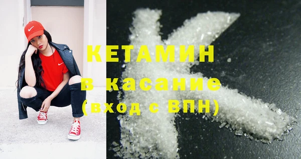 стаф Богданович