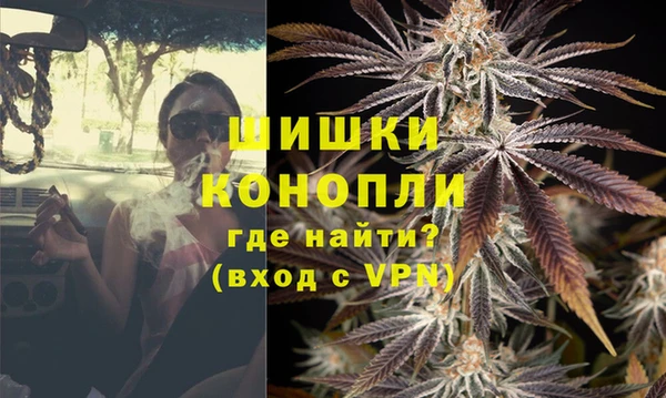 стаф Богданович